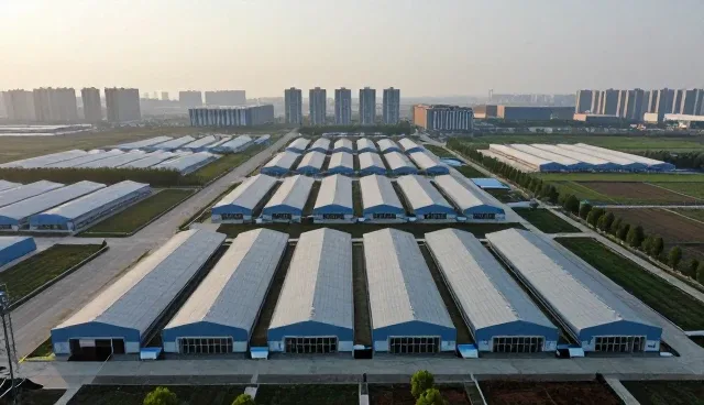 企业如何通过系统优化提升运营效率